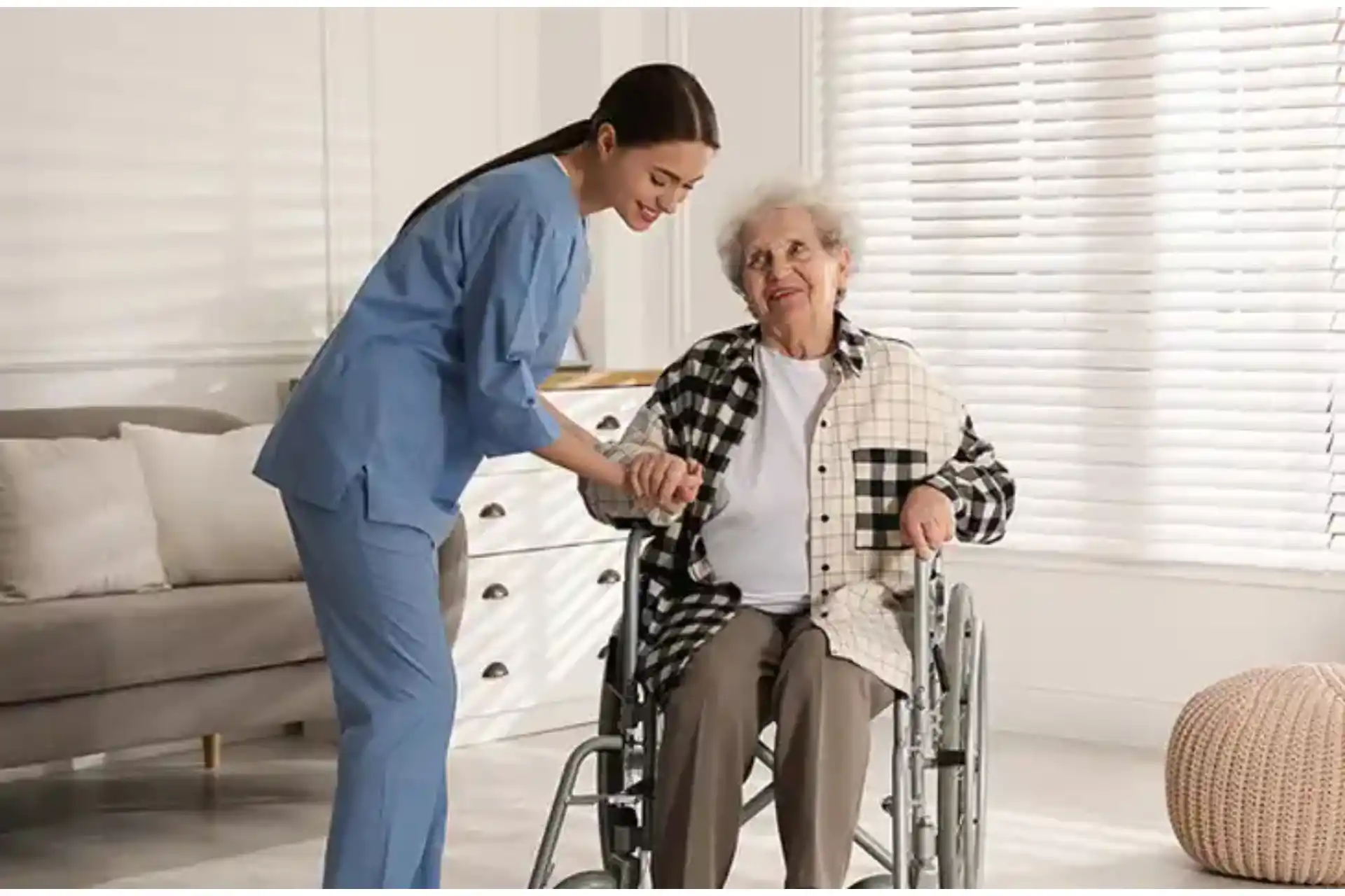 Domestic Support services helping with daily household tasks.