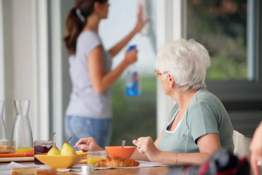 Domestic Support helping patient with daily household tasks.
