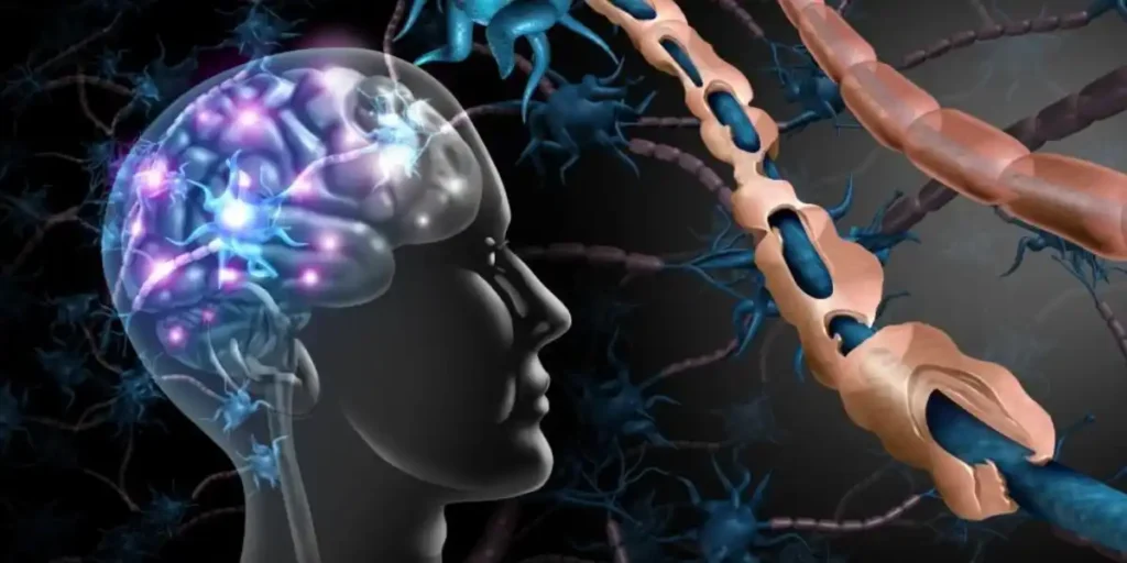 Multiple Sclerosis Symptoms, Types, and Support