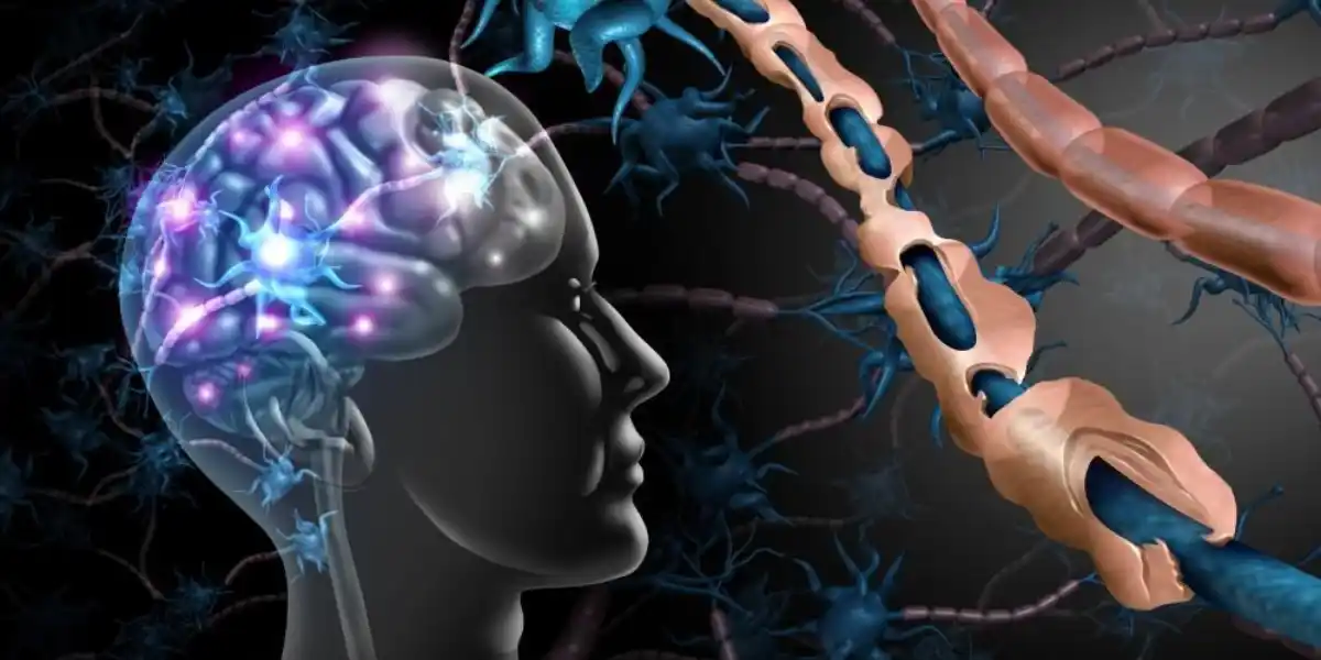 Multiple Sclerosis Symptoms, Types, and Support